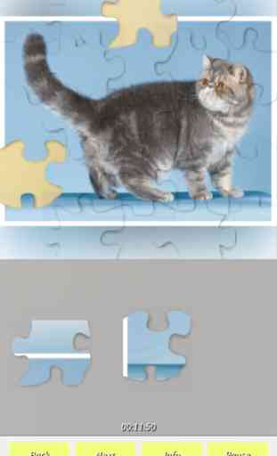 Cats - Jigsaw Puzzles 3