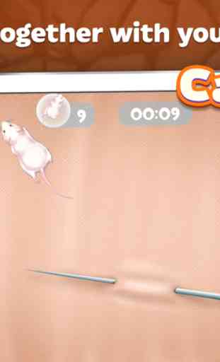 Cats Joy 3 - Tap And Catch 4
