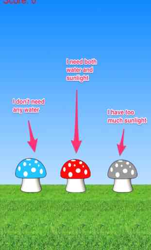 Collect Water And Sunlight: Grow Cute Mushroom Free 2