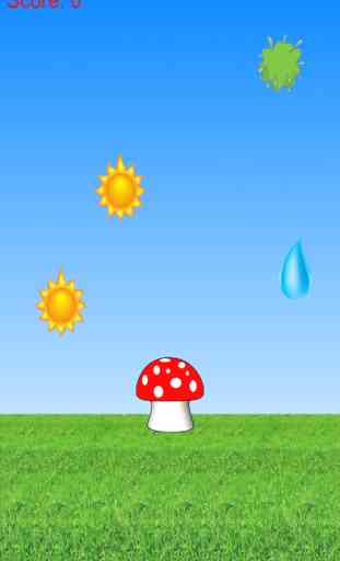 Collect Water And Sunlight: Grow Cute Mushroom Free 3
