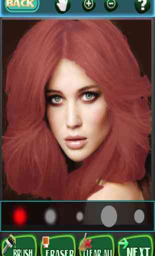 Color your hair - the ultimate tools to dye your hair right - Gold Edition 3