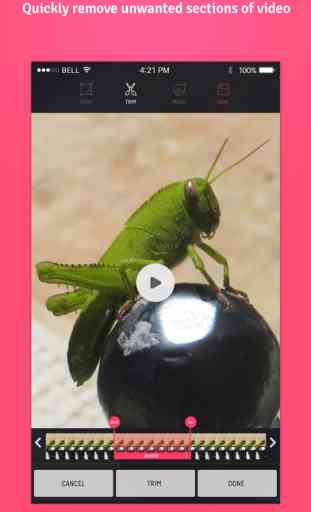 Combine Vid - Merge Video Clips Together into One Movie Collage for Vine and Instagram 3