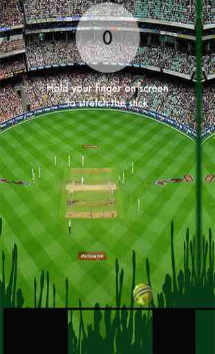 Cricket Madness 2015 Free - Make Your Body Warm With Exciting Game Before World Cup 1
