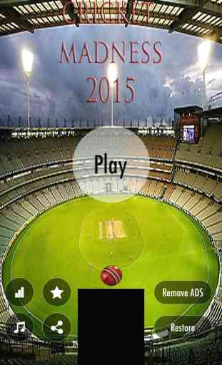 Cricket Madness 2015 Free - Make Your Body Warm With Exciting Game Before World Cup 2
