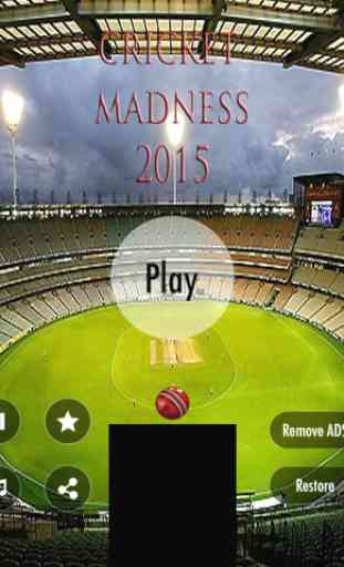 Cricket Madness 2015 Free - Make Your Body Warm With Exciting Game Before World Cup 3