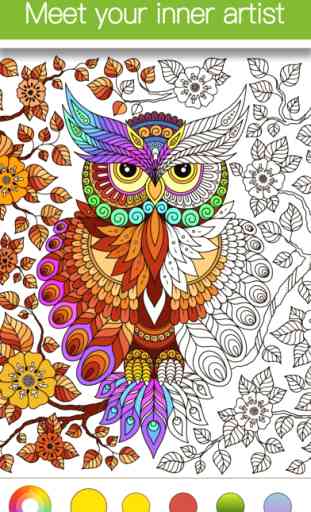 Colorfly : Coloring Book for Adults - Free Games 2