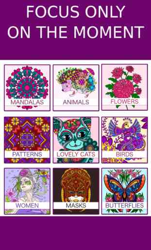 Coloring Book for Adults - Adult Coloring Book 4