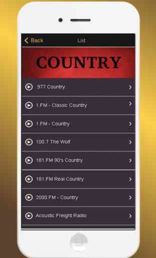 Country Music Hits 2