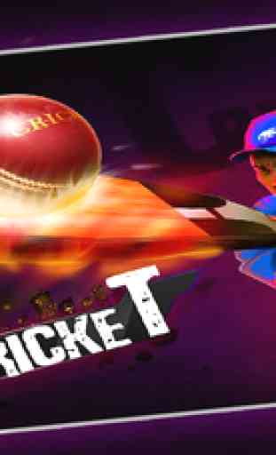 Cricket 3D : World Street Challenge 2
