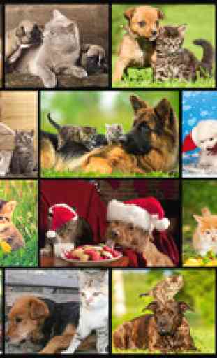 Cute Pets - Real Dogs and Cats Picture Puzzle Games for kids 1