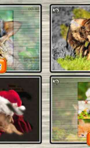 Cute Pets - Real Dogs and Cats Picture Puzzle Games for kids 2