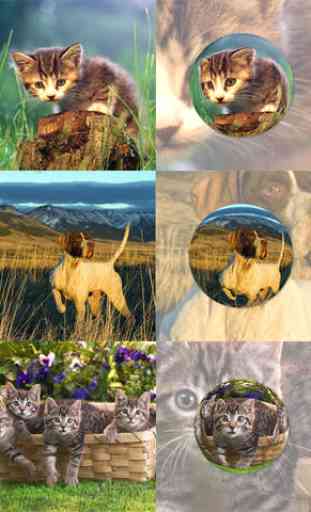 Crystal Ball Lens - FREE 1