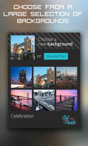 Cut and Paste- add your photos to pictures 1