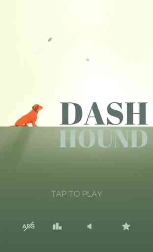 Dash Hound 1