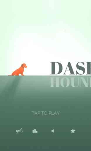 Dash Hound 4