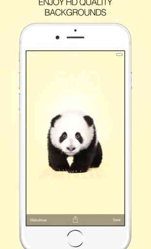Panda Wallpapers – Panda Pictures & Panda Images 2