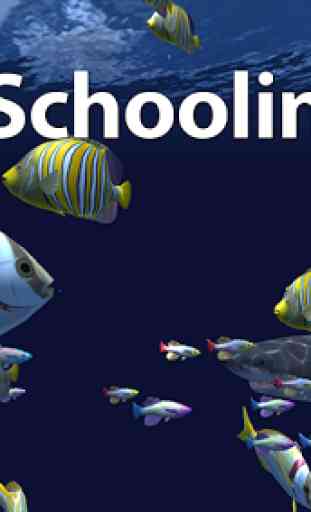 Fish Schooling VR 1