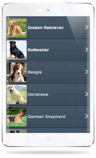 Dog Breed Quiz & Trivia App - All about Dogs 101 Guide for Animal Training and Types Name 4