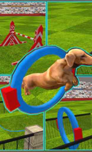Dog Show Simulator 3D: Train puppies & perform amazing stunts 2
