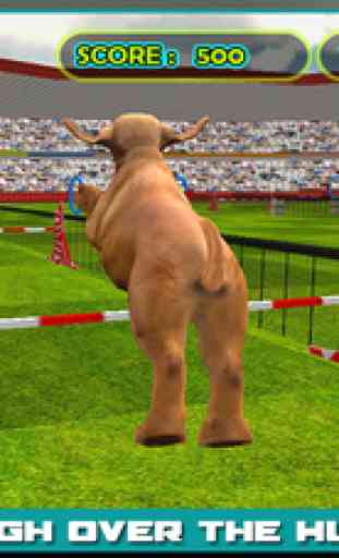 Dog Show Simulator 3D: Train puppies & perform amazing stunts 3