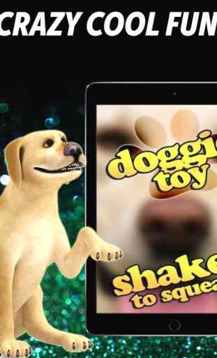 Dog Squeaky Toy 2