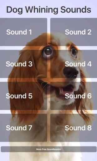 Dog Whining Sounds 2