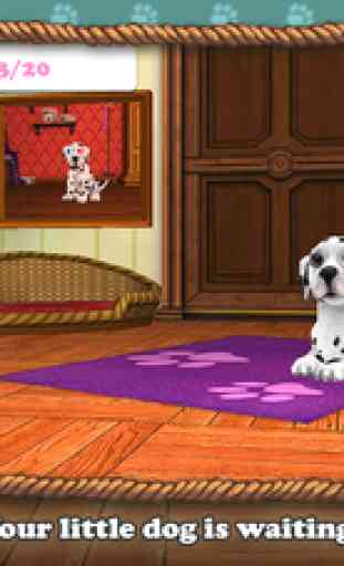 DogWorld 3D: My Dalmatian - the cute puppy dog 2