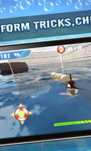 Dolphin Circus Show - Hungry Sea Animal Stunt Sim 2
