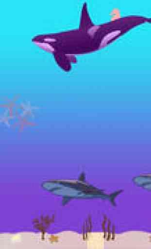 Dolphin Splash 2