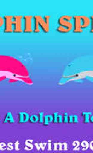 Dolphin Splash 3