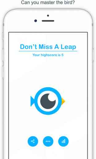 Don't Miss A Leap 1