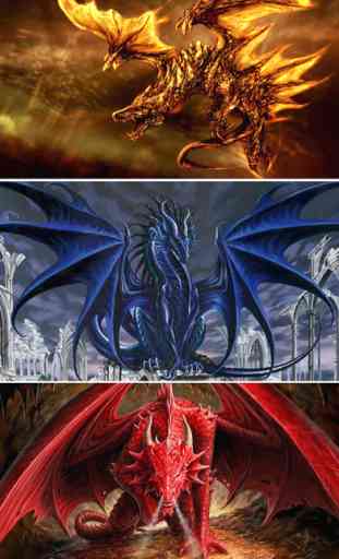 Dragon Wallpapers - HD Dragon Wallpapers and Backgrounds 3
