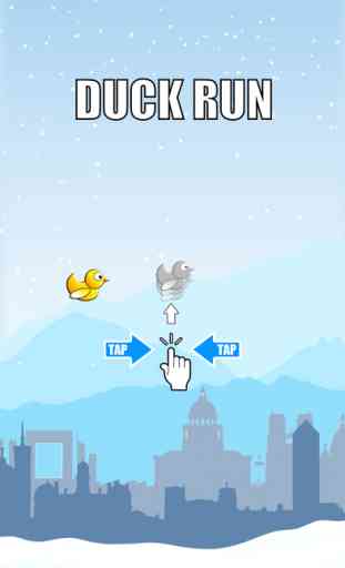 Duck Run - Adventure of a Flappy Tiny Snow Bird 1
