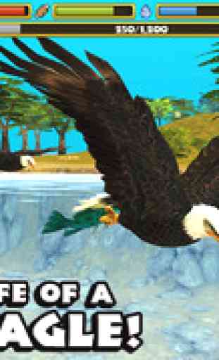 Eagle Simulator 1