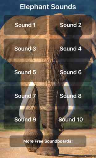 Elephant Sounds! 1