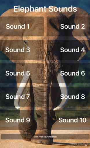 Elephant Sounds! 2