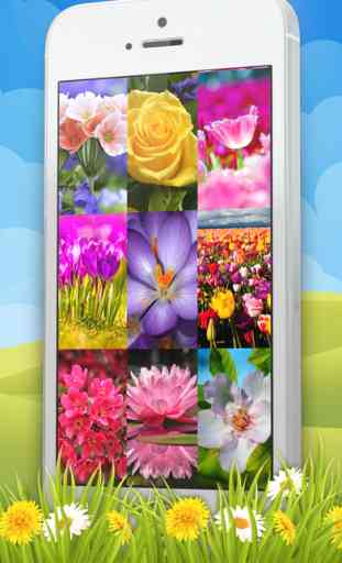 Flower Wallpaper – Pretty Screen Lock.er And Floral Background Picture.s 1