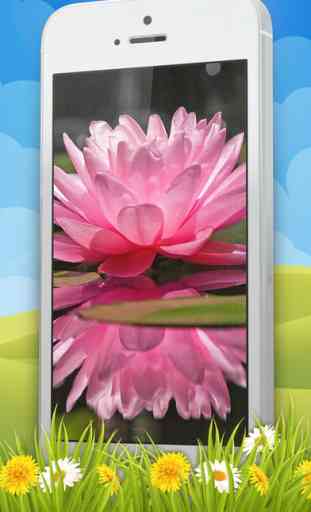 Flower Wallpaper – Pretty Screen Lock.er And Floral Background Picture.s 2