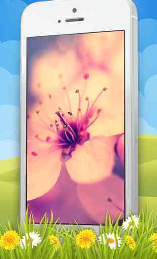 Flower Wallpaper – Pretty Screen Lock.er And Floral Background Picture.s 4