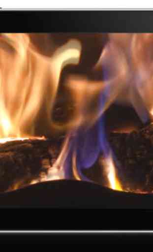 Fireplace 3
