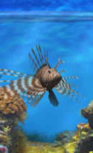 Fish Fingers! 3D Interactive Aquarium FREE 1