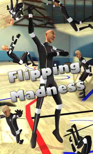 Flipping Madness 1