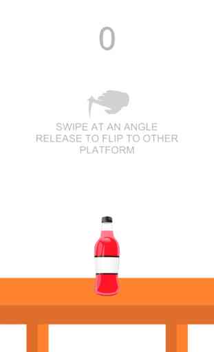 Flippy Bottle - Hardest Flip Water Bottle 2K17 2