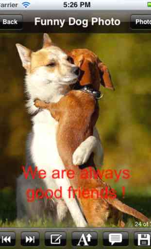 Funny Dog eCards.Funny Dog Greeting Cards.Funny Dog Wallpapers.Funny Dog Photos. 4