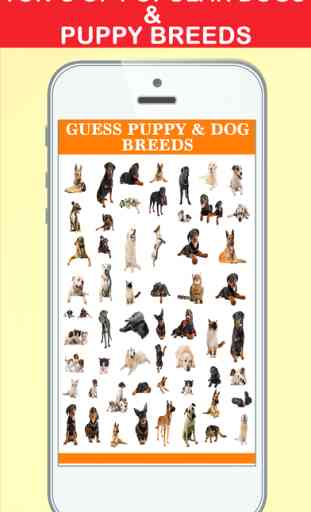 Guess Puppy & Dog Breeds Photo Quiz - Watch Pet Doggie,Cute Pup or Hound Dog Pics & Answer Breed Names,Word Fun! 2