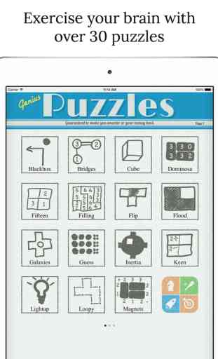 Genius Puzzles 4