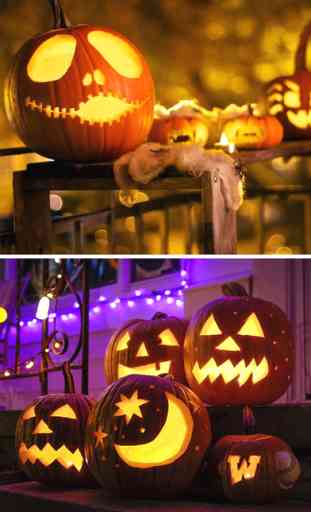 Halloween Decorations Ideas & Wallpapers Catalog 3