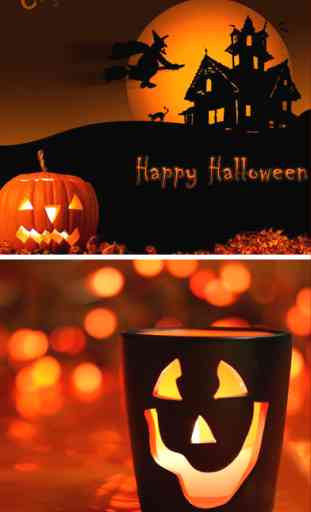 Halloween Decorations Ideas & Wallpapers Catalog 4