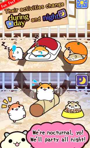 Hamster Collection◆FreeBasic, pet breeding game! 4