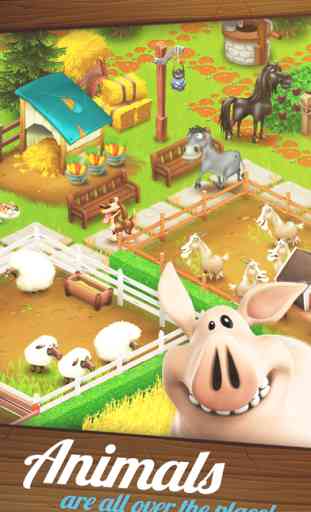 Hay Day 3